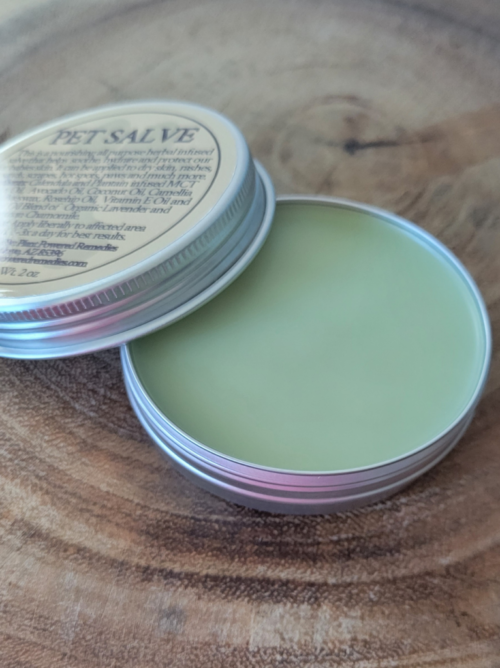 Pet Salve | Homemade Salve for Dogs | Plant Powered Remedies